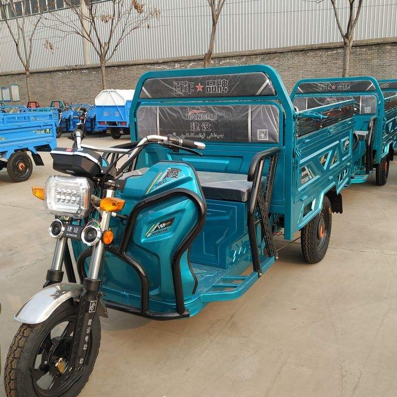 Çin Elektrikli Trike Motosiklet Triciclo ElectricoFamily Yetişkin Yolcu Üç Tekerlekli Bisikletler 3 Tekerlekli Elektrikli Çekçek Elektrikli Üç Tekerlekli Bisiklet